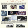 images/Expo50A/Panel-06-Espeleologia.png